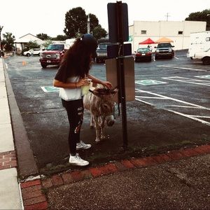 Meet your Posher, Emily